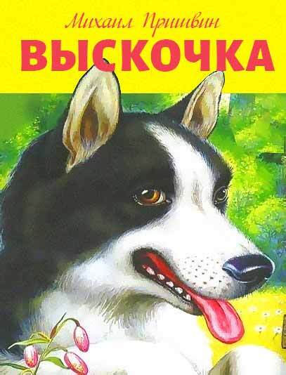 Выскочка